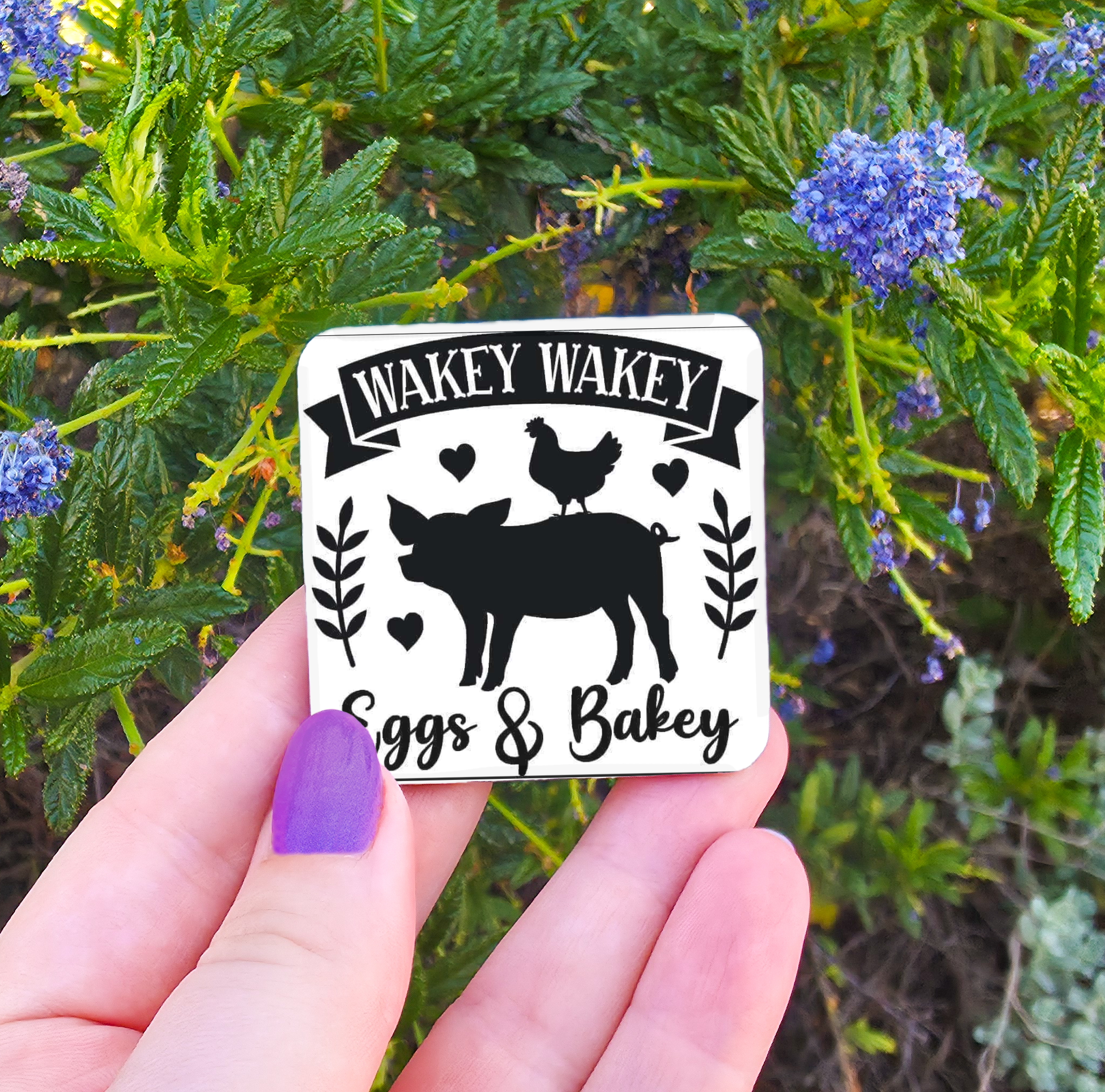 Kitchen/Food Related Magnets