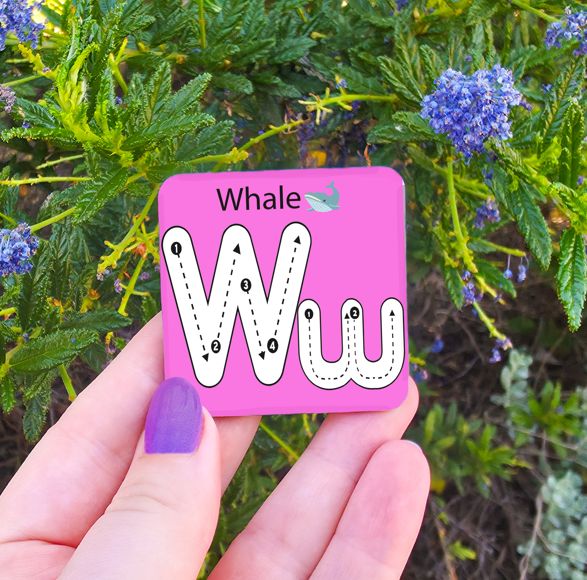 Learn to Write - Alphabet & Numbers