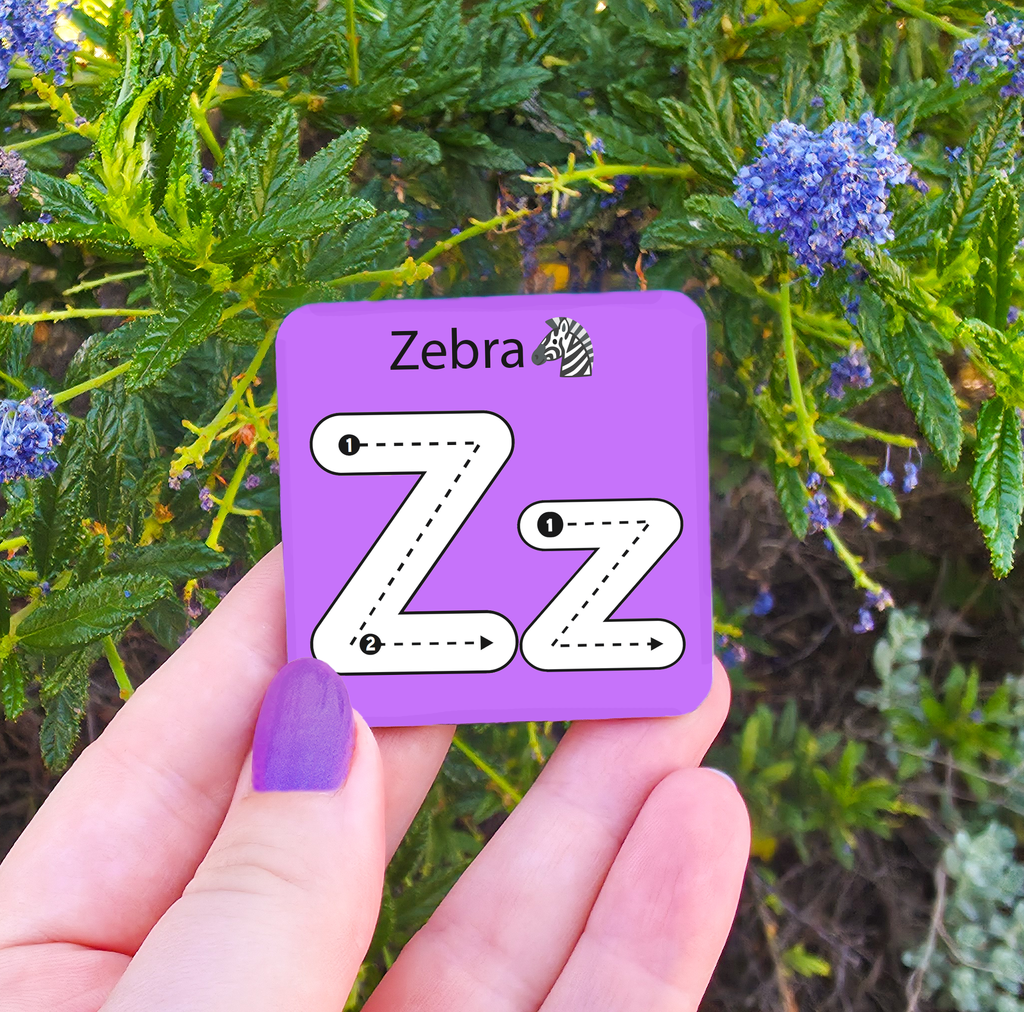 Learn to Write - Alphabet & Numbers