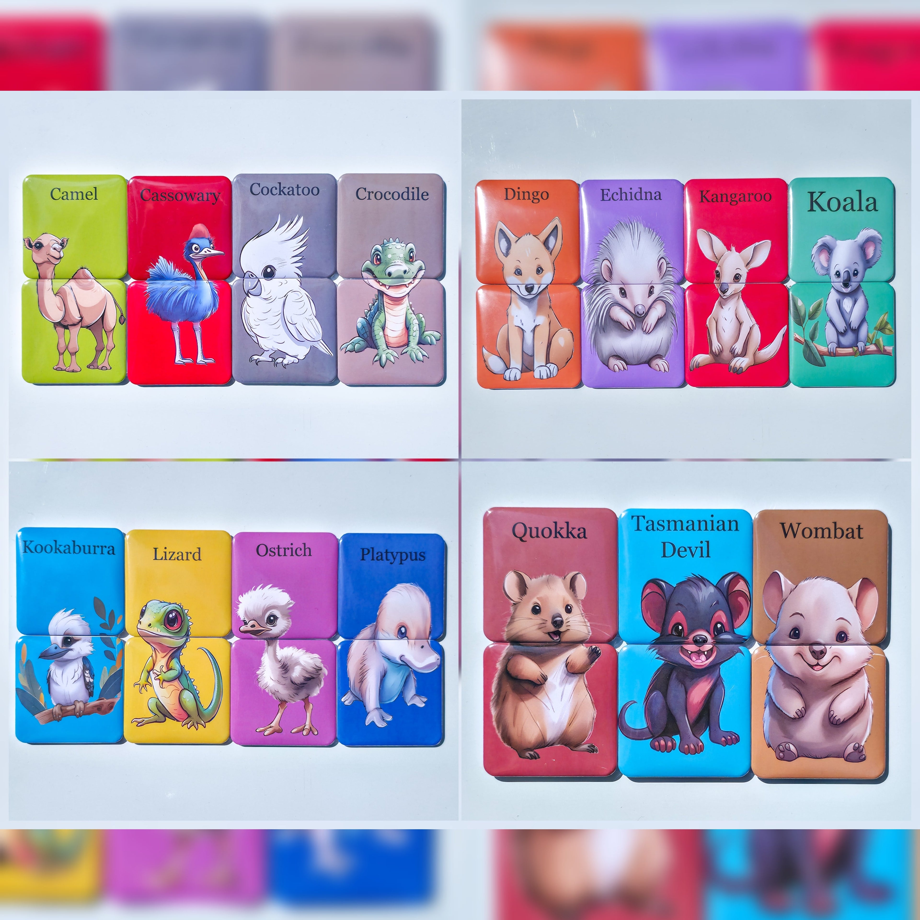 Australian Animals - Animal Matching