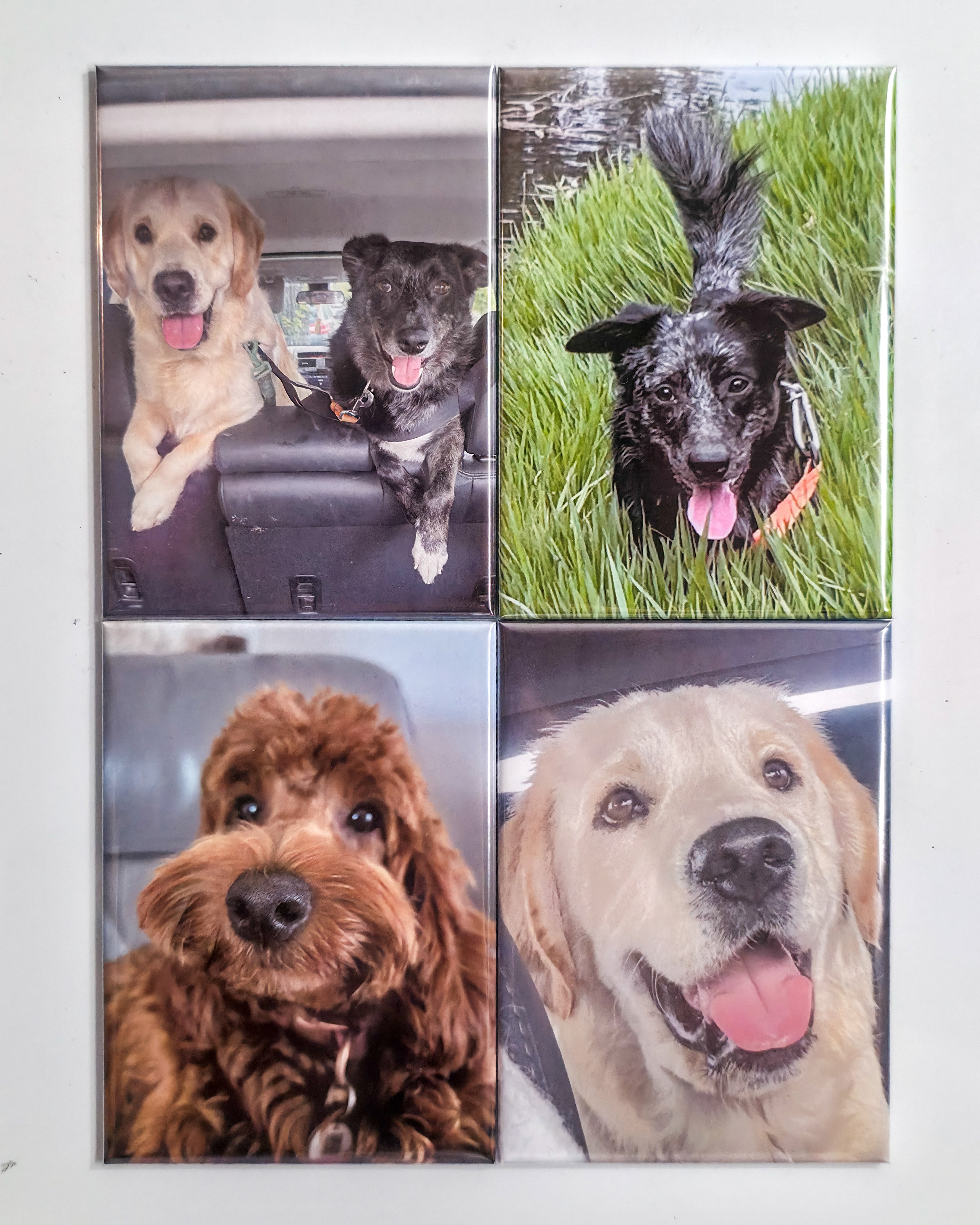 04x Rectangle Custom Photo Magnets