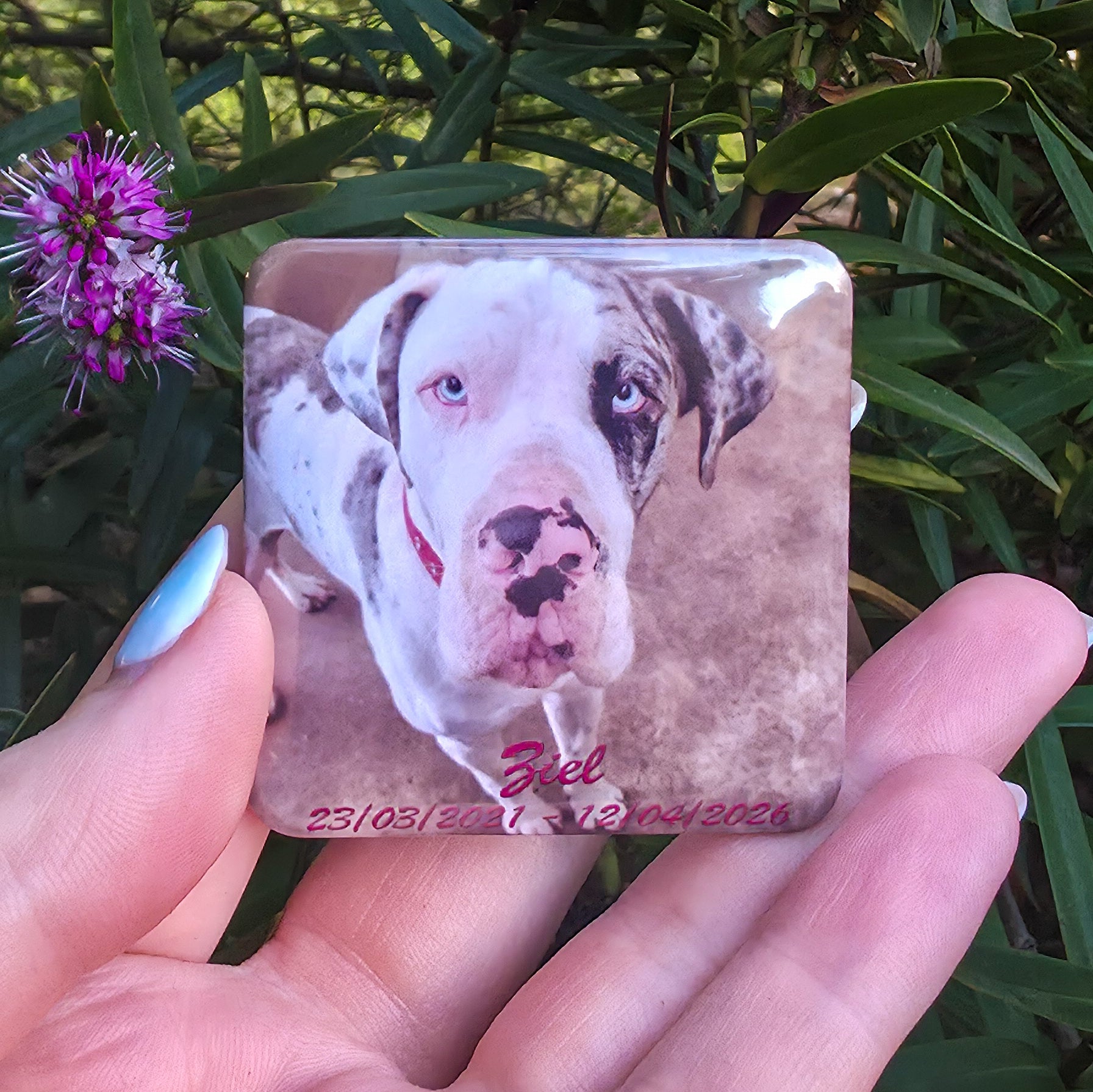Pet Memorial Custom Photo Magnet – Personalised Remembrance Keepsake