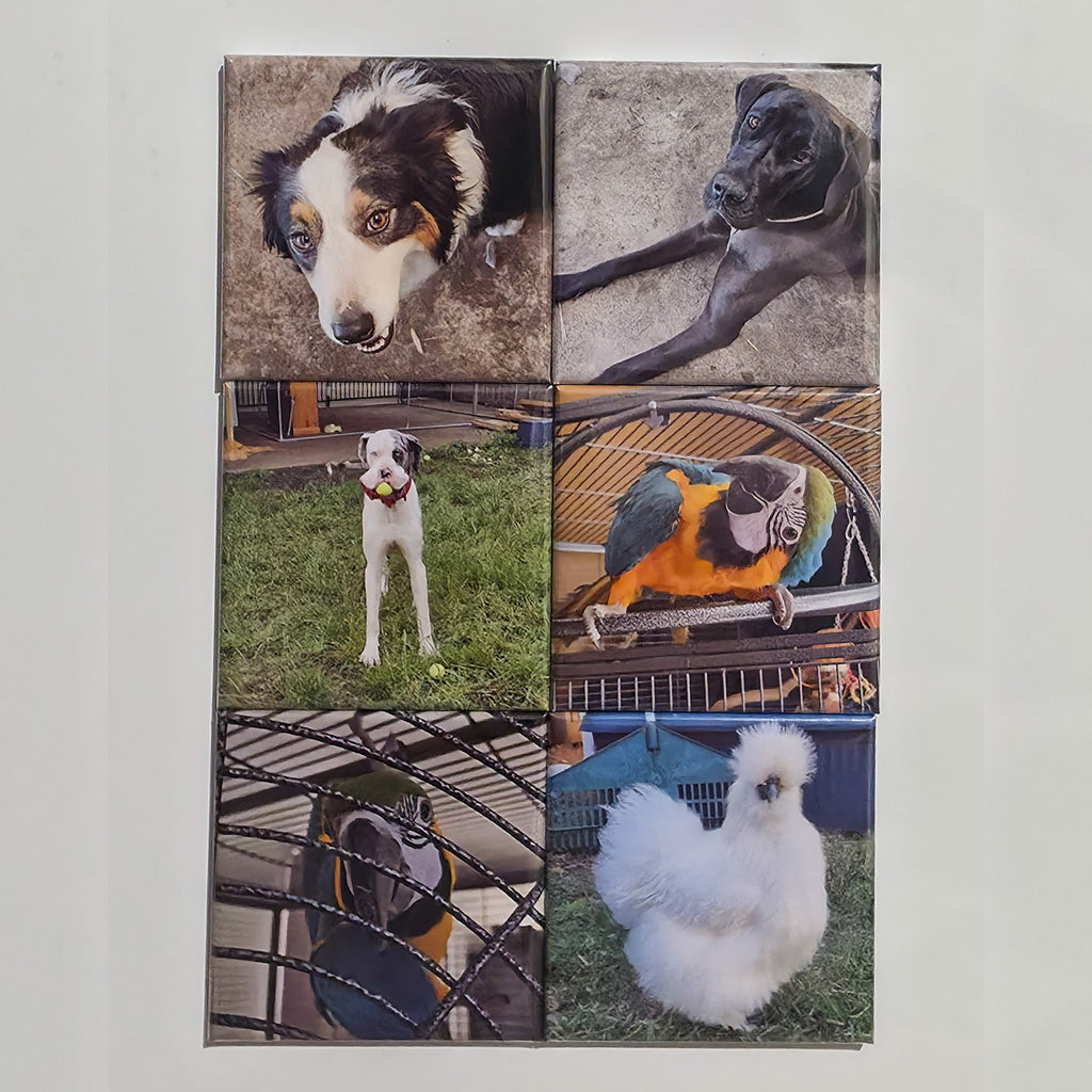 Custom Square Photo Magnets – Set of 6