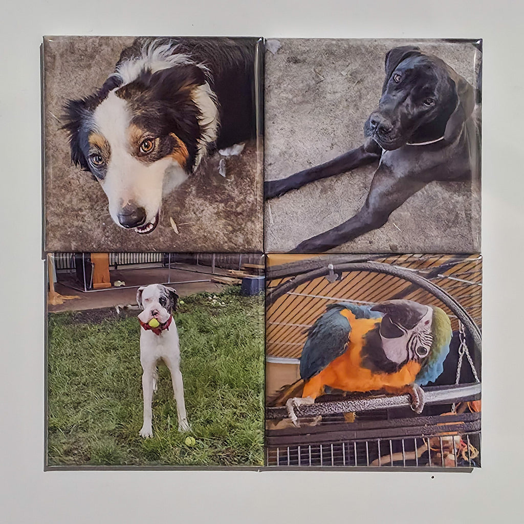 Custom Square Photo Magnets – Set of 4