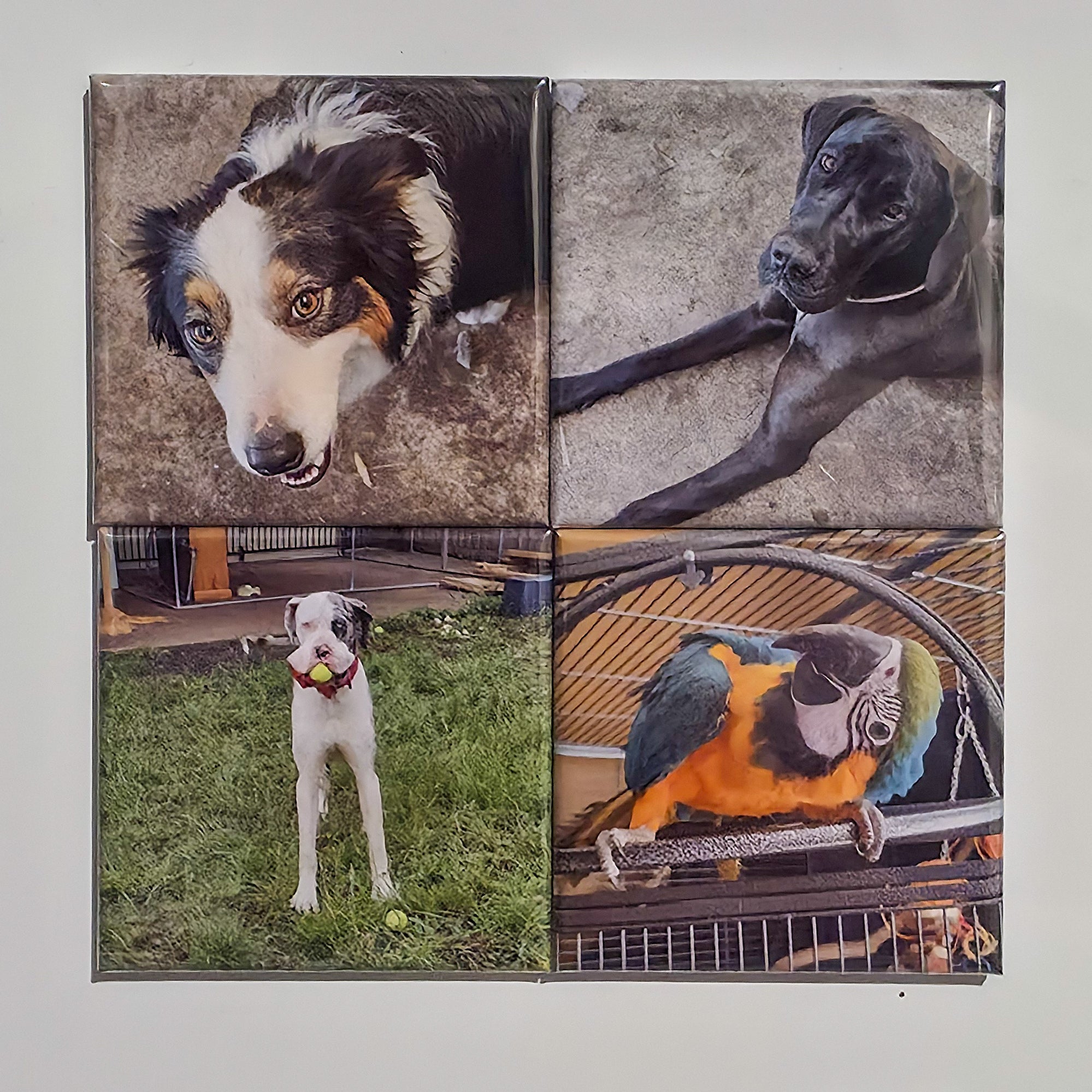 Custom Square Photo Magnets – Set of 4