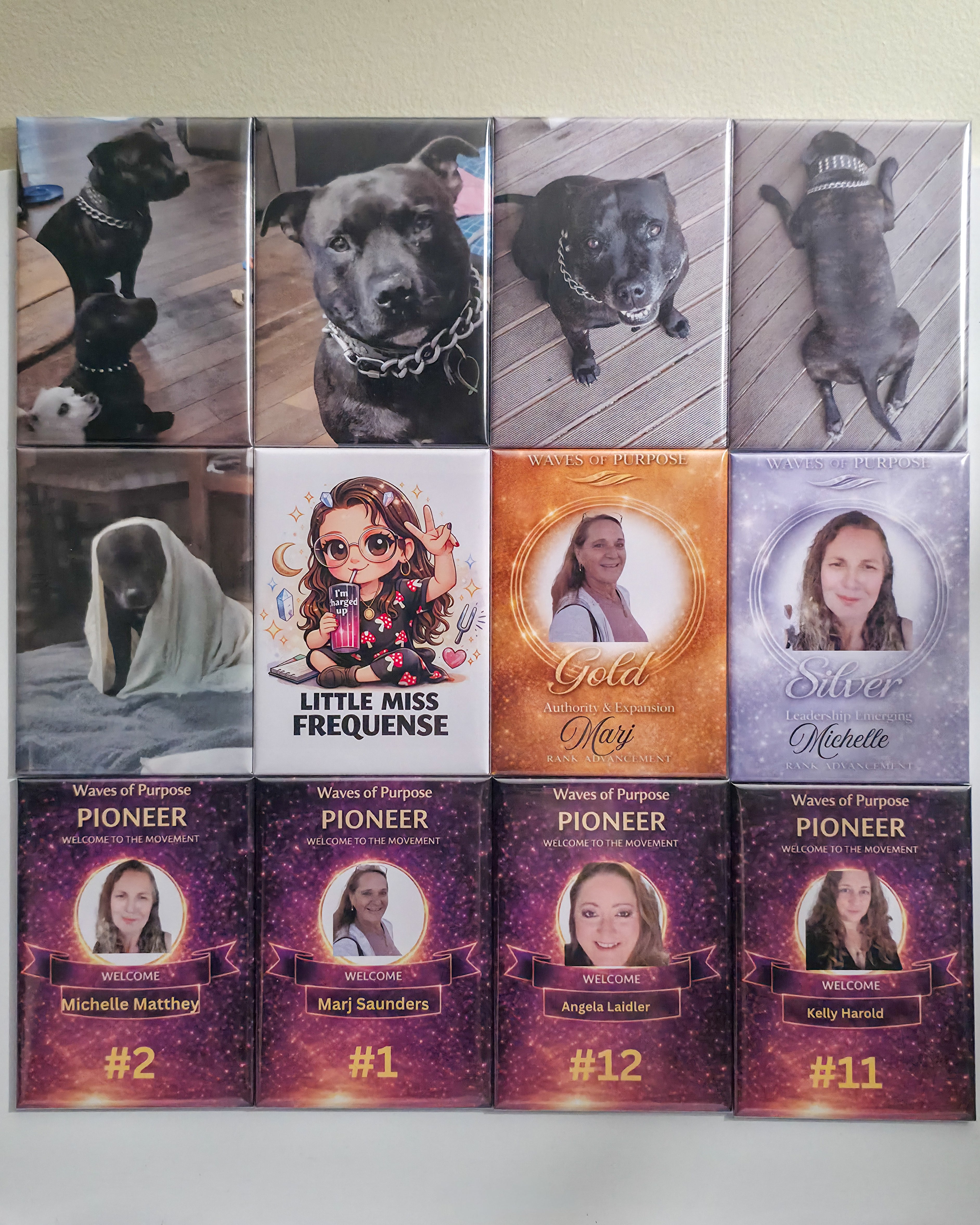 12x Rectanlge Custom Photo Magnets