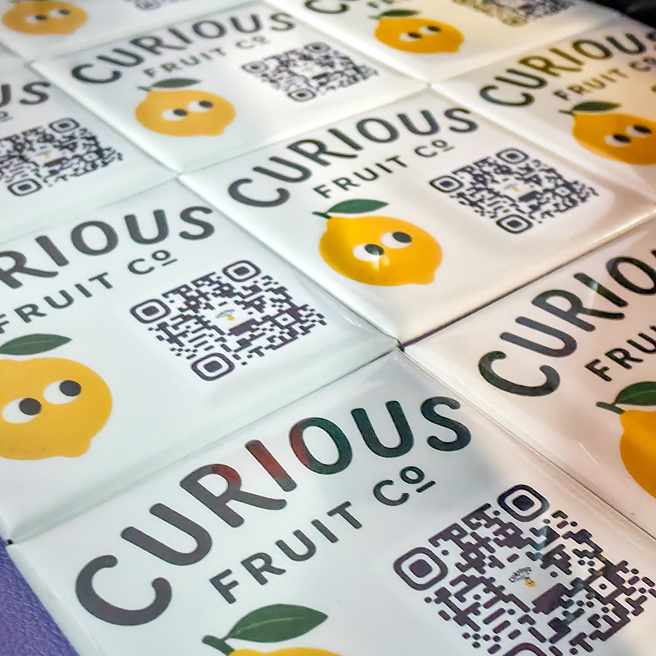 Premium Bulk Business Magnets